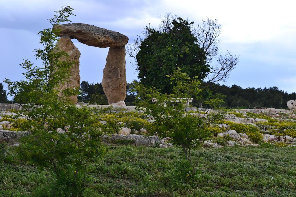 Le Dimore Della Via Lattea Αλμπερομπέλο Εξωτερικό φωτογραφία