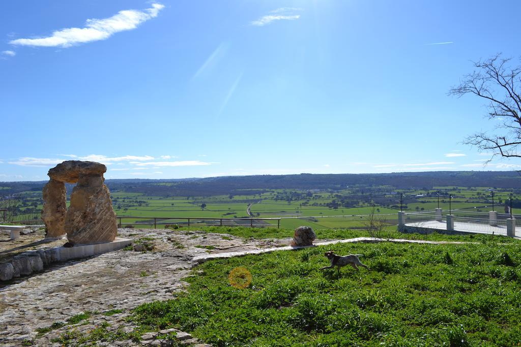 Le Dimore Della Via Lattea Αλμπερομπέλο Εξωτερικό φωτογραφία